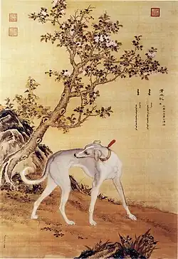 Dix chiens de valeur.