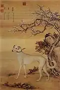 霜花鹞