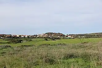 Tergu