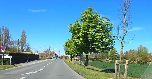 La route.