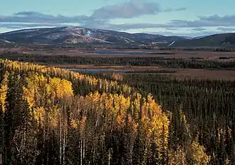 Tetlin (Alaska)