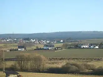 Waldweiler