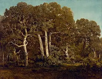 Les Vieux chênes du Bas-Bréau, 1864,musée des Beaux-Arts de Houston.