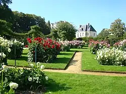 Roseraie du Thabor.