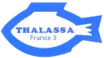 1er logo, du 4 janvier 1980 au 27 août 1992