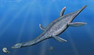 Thalassiodracon