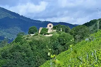 Image illustrative de l’article Château d'Engelbourg