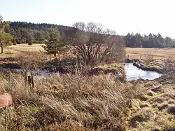 Le Thaurion en amont du pont de Sénoueix.