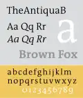 TheAntiqua.