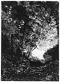 L'Embuscade, Corot, 1858, cliché-verreH. 22 cm. Metropolitan Museum of Art.