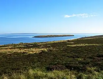 Image illustrative de l’article Calf of Flotta