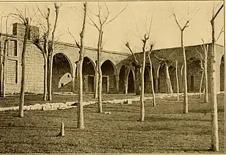 Souk El Gharb