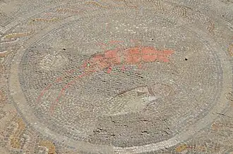 Détail d'une mosaïque de la Maison de l'éphèbe