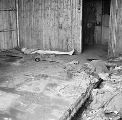 Libération du camp en avril 1945
