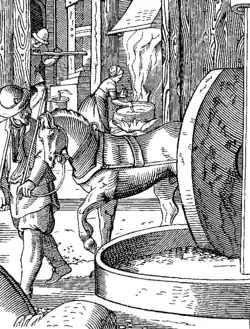 Moulin à huile au XVIe sièclegravure de J. Amman