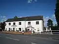 The Pheasant.