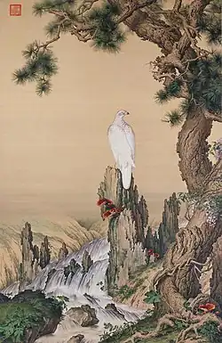 Faucon, pin et Ganoderma lingzhi.