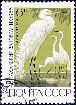 timbres.