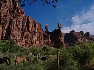 Supai