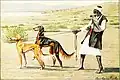 (en) The book of dogs; an intimate study of mankind's best friend (1919).