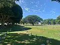 Vue du cimetière lors de la journée du souvenir.