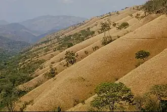 Kamananga
