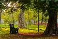 Un banc solitaire du Jardin botanique.
