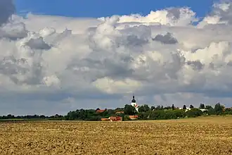 Osice