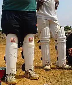 Cricket.