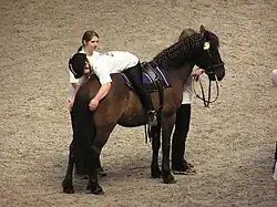 Un poney de couleur brun foncé porte un homme handicapé qui fait des mouvements sur son dos.