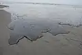 Dégâts d'une marée noire sur le rivage.
