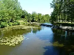 Le Thouet en amont du moulin de Gourgé.