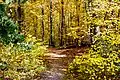 Automne