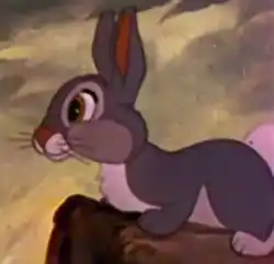 Image illustrative de l’article Panpan