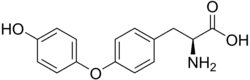 Image illustrative de l’article Thyronine
