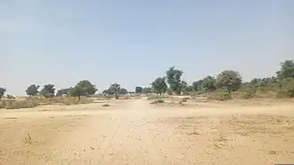 Tibiri