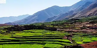 Tidili Mesfioua