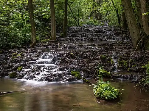 Petites cascades près deTiefenellern en Suisse franconienne