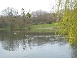 Le lac.