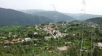 Tigounatine