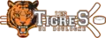 Version en bandeau du logo 2013-2015.