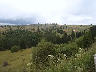 Image illustrative de l’article Col de Tihuța
