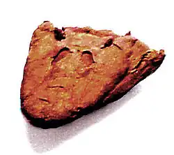 Crâne montrant les spiracles, situées au-dessus des yeux.