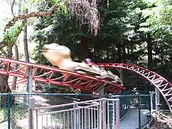 Timber Twister