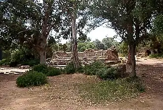 Le nymphée (1)