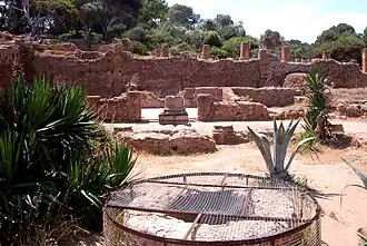 Le patio