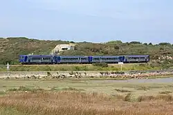 Train de profil dans la baie de Plouharnel.