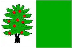 Drapeau de Tis