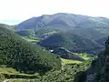 Forêt Tizi-ifri