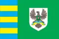 Drapeau de Raïon de Tiatchiv